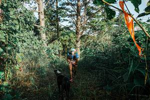 BIB: 
                            <button type="button" onclick="openModal(25658321)" class="btn btn-primary btn-sm float-right btn-popup" data-toggle="modal" data-target=".modal-high-quality">
                        <i class="fas fa-shopping-cart"></i> Add to Cart
                    </button>
                                            <button type="button" onclick="isThisMe(25658321, true)" class="btn btn-success btn-sm float-right btn-popup btn-isme hidden" data-toggle="tooltip" data-placement="bottom" title="นี่คือรูปของคุณใช่ไหม คลิกที่นี่เพื่อเอาเข้าอัลบั้ม">
                        <i class="fas fa-plus"></i> Add to album
                    </button>
                    <button type="button" onclick="isThisMe(25658321, false)" class="btn btn-warning btn-sm float-right btn-popup btn-isnotme hidden">
                        <i class="fas fa-ban"></i> Remove from album
                    </button>